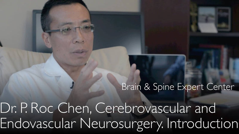 Dr. Peng Roc Chen. Neurosurgery. Brain aneurysms. AVM. BDAVF. Biography. 0