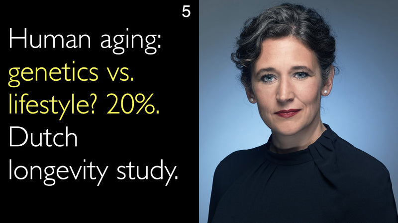 Human aging: genetics vs. lifestyle? 20%. Dutch longevity study. 5